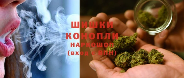 кокс Арсеньев