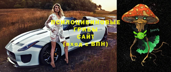 кокс Арсеньев