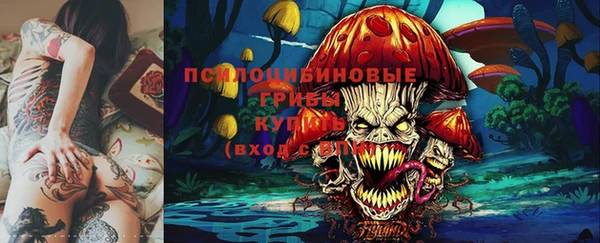МДПВ Аркадак