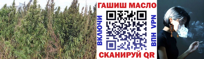 ТГК гашишное масло  Динская 