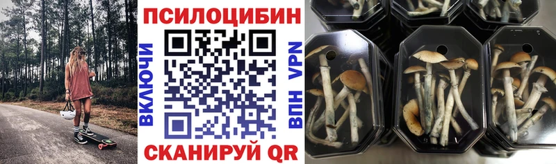 Псилоцибиновые грибы ЛСД  сколько стоит  Динская 